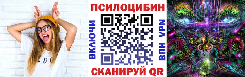 купить   Чудово  Галлюциногенные грибы GOLDEN TEACHER 
